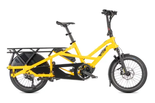 Tern GSD P10